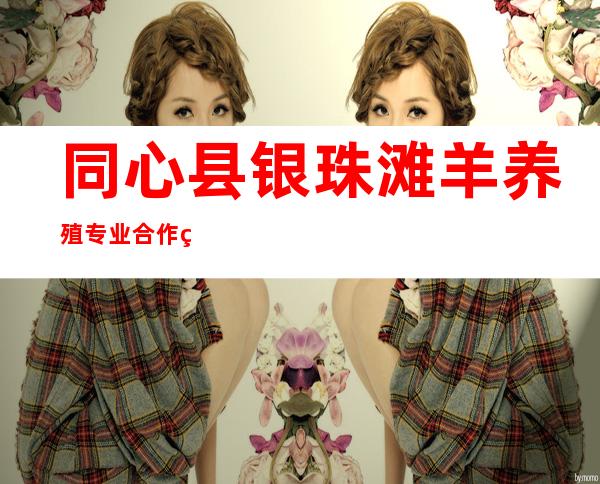 同心县银珠滩羊养殖专业合作社