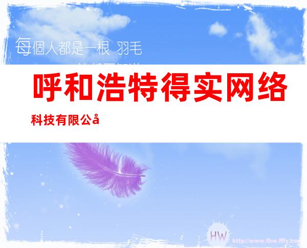 呼和浩特得实网络科技有限公司