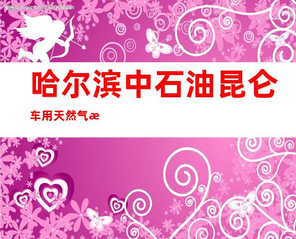 哈尔滨中石油昆仑车用天然气有限公司