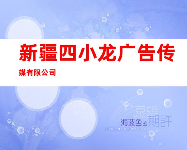 新疆四小龙广告传媒有限公司
